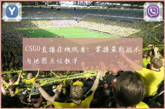 CSGO直播在线观看：掌握最新战术与地图点位教学