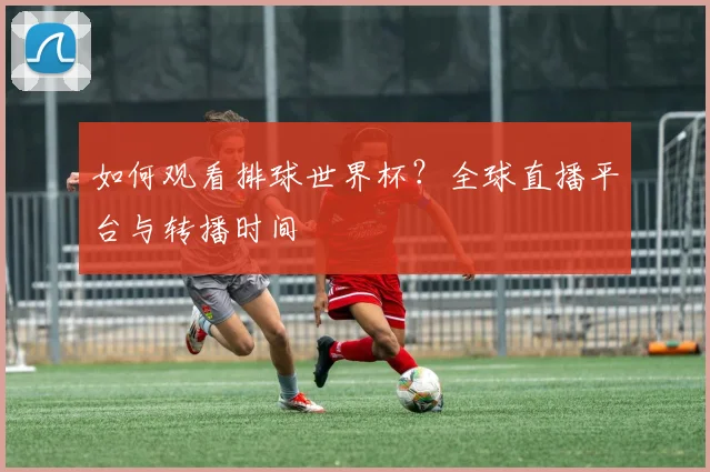 如何观看排球世界杯？全球直播平台与转播时间