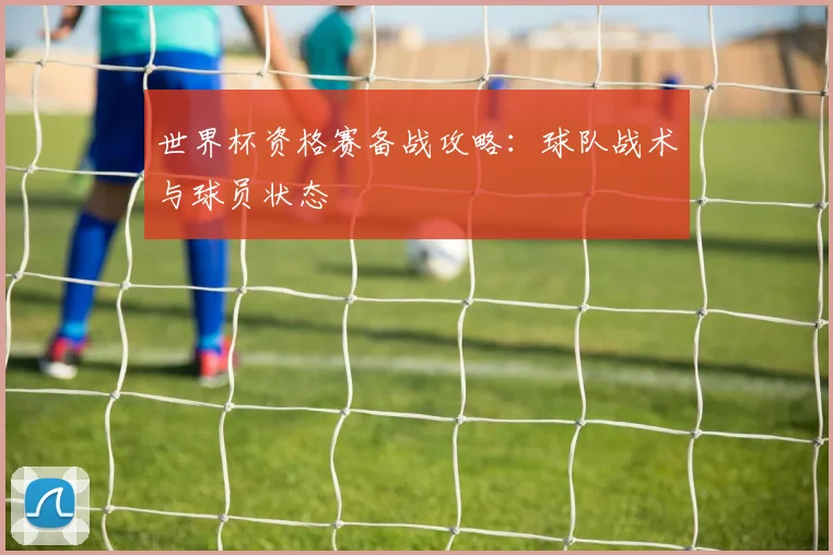 世界杯资格赛备战攻略：球队战术与球员状态