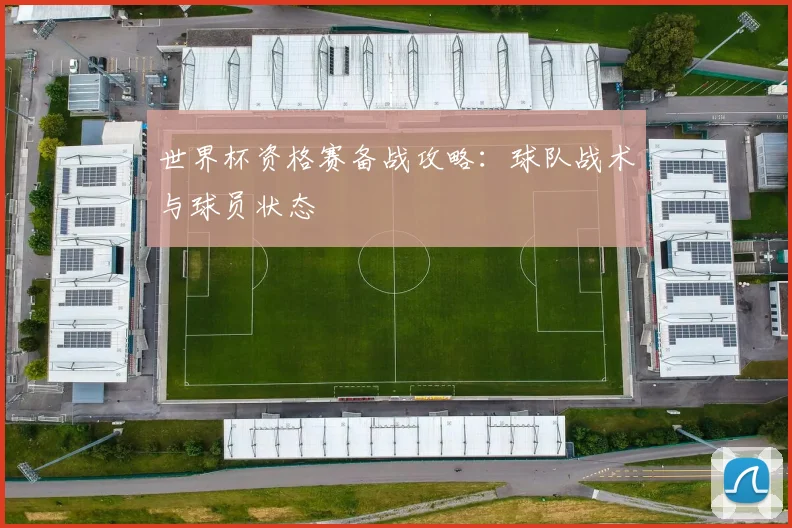 世界杯资格赛备战攻略：球队战术与球员状态