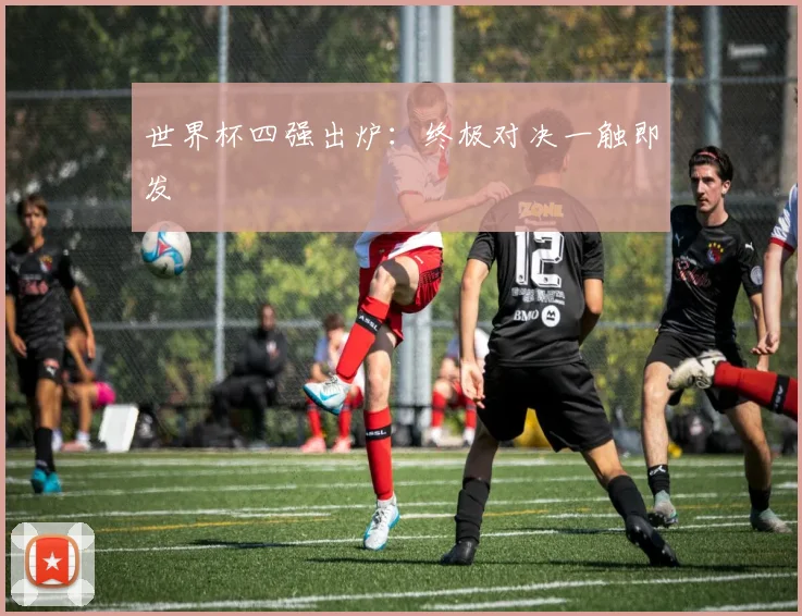 世界杯四强出炉：终极对决一触即发